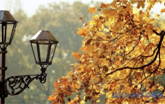 Як зміна погоди восени впливає на результати лабораторних досліджень