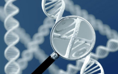 Генетические анализы: как они помогают выявить риски болезней?