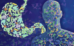 Аналіз крові на рівень мікробіоти кишечника: міф чи реальна діагностика?