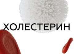 Холестерин в крові