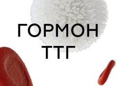 Аналіз крові на ТТГ: важливість, показання, підготовка