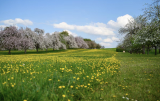 Весна і організм: що змінюється після лютого та які аналізи варто здати
