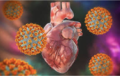 Які аналізи здати після COVID-19: оцінка стану організму після хвороби