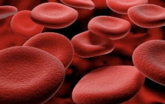 Коагулограмма: что показывает анализ свертывания крови?