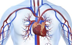 Як перевірити стан серцево-судинної системи перед зимовими навантаженнями?