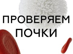 Здоров'я нирок під контролем