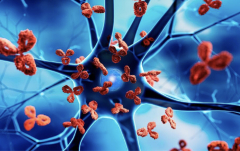 Анализы аутоиммунных заболеваний: когда стоит обратиться к врачу?