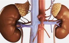 Анализы для оценки функции надпочечников: когда следует пройти обследование?